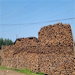 原木 杉木桩 产品规格可选择 水利工程防汛 亿展木业